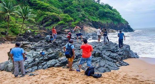 Coastal Wonders